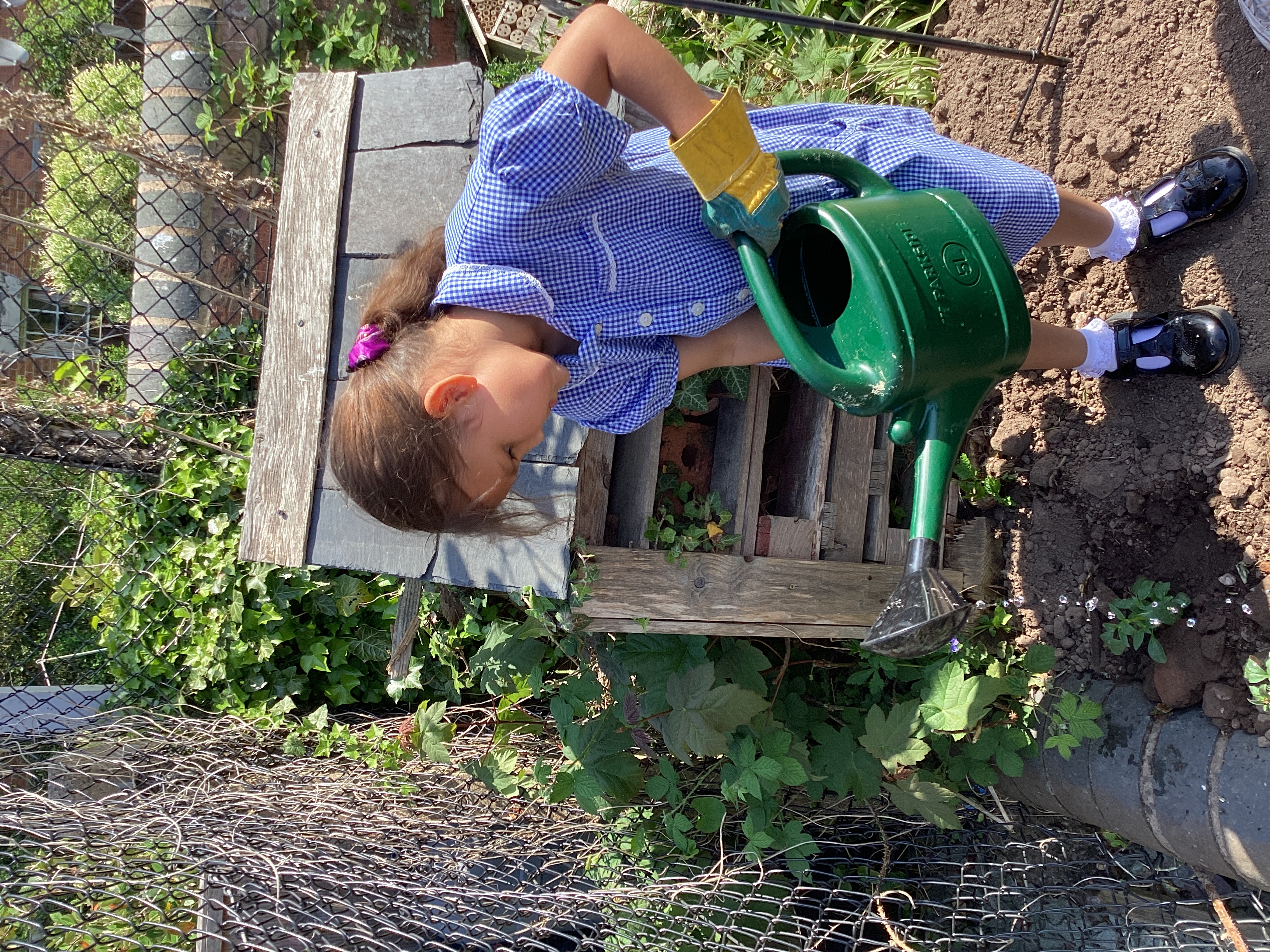 Flower Planting in School